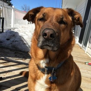 Meet your Posher, Lindsay